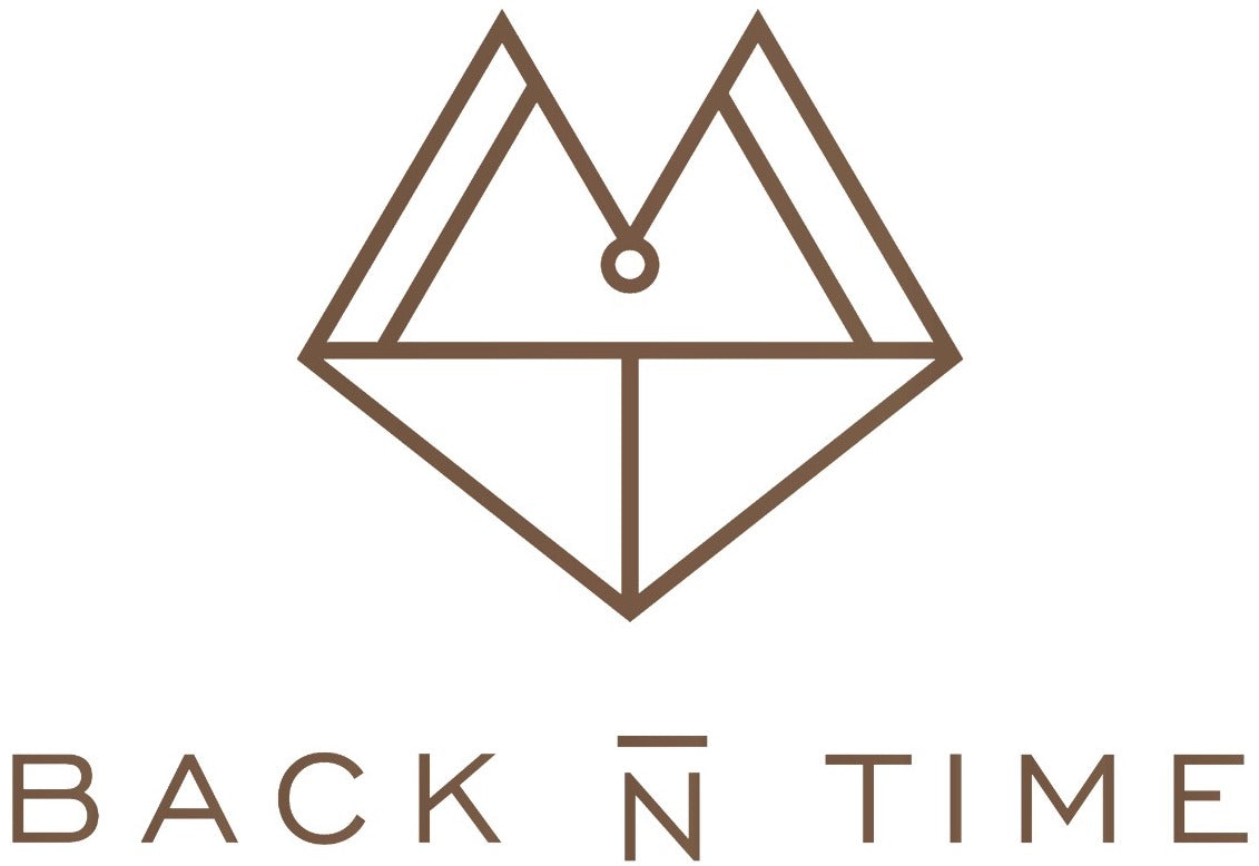 Back In Time Logo Backintime