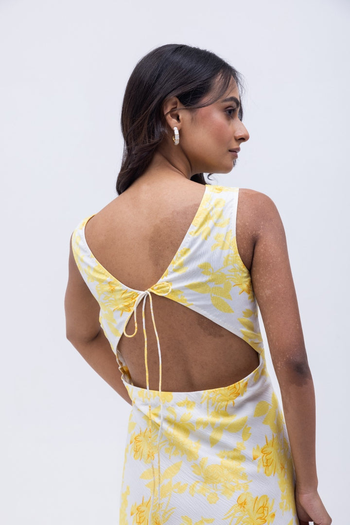 Sasha Dress